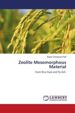 Buch Zeolite Mesomorphous Material 