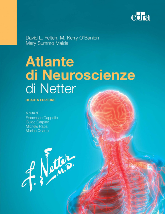 Kniha Atlante di neuroscienze di Netter David L. Felten