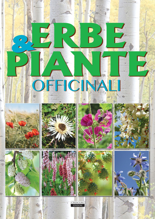 Libro Erbe & piante officinali 