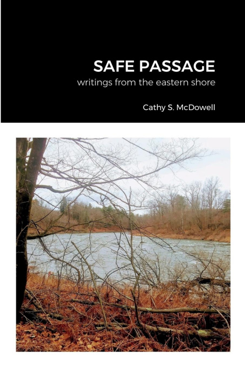 Knjiga SAFE PASSAGE Cathy S. McDowell