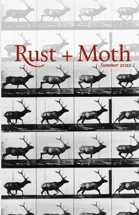 Book Rust and Moth Suncerae Smith