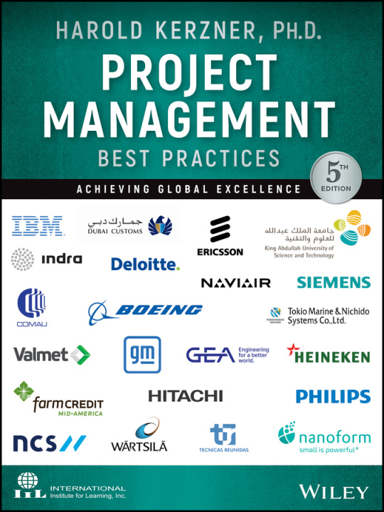 Buch Project Management Best Practices: Achieving Global Excellence 