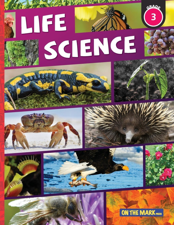 Knjiga Life Science Grade 3 Tracy Bellaire