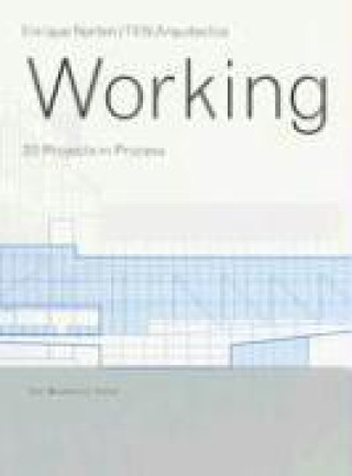 Boek Working: 20 Projects in Process Dejan Sudjic