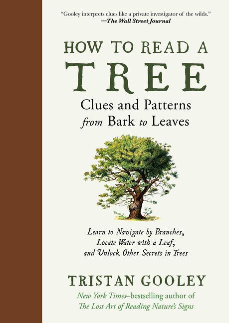 Book How to Read a Tree: Clues and Patterns from Bark to Leaves 