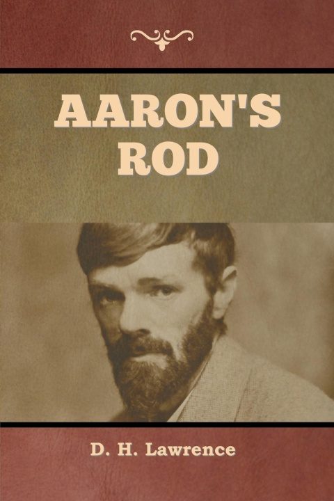 Knjiga Aaron's Rod D. H. Lawrence