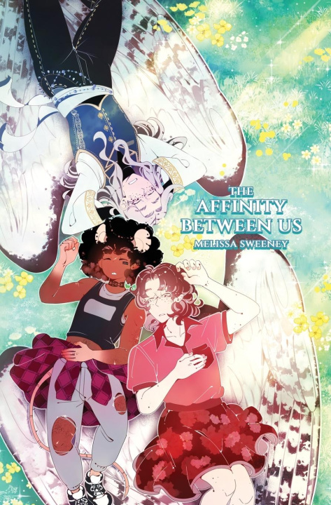 Knjiga The Affinity Between Us Melissa Sweeney
