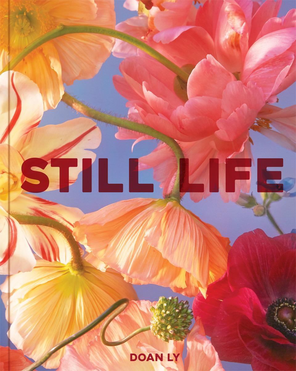 Boek Still Life Ly