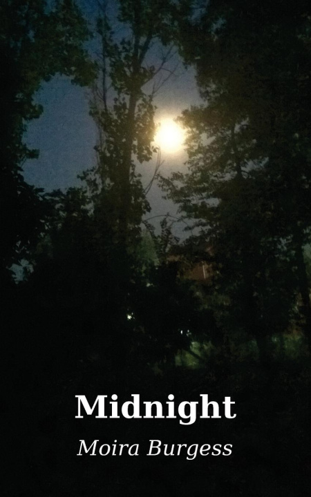 Knjiga Midnight Moira Burgess