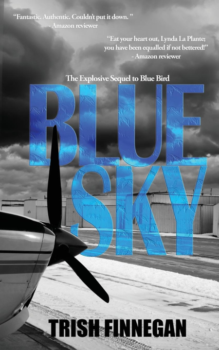 Book Blue Sky Trish Finnegan