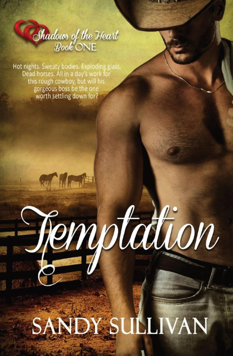 Knjiga Temptation Sandy Sullivan