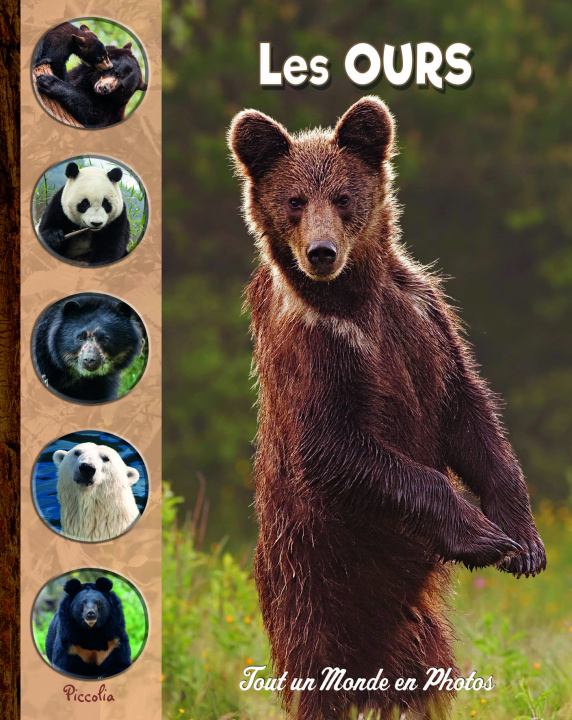 Carte Les ours 