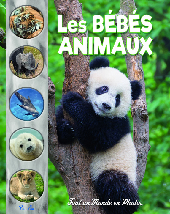 Книга Les bébés animaux 