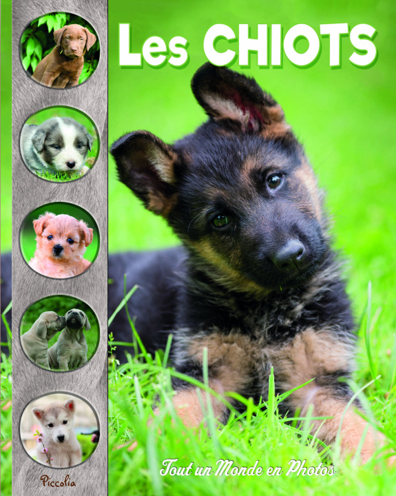 Libro Les chiots 