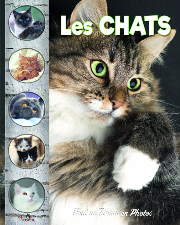 Kniha Les chats 