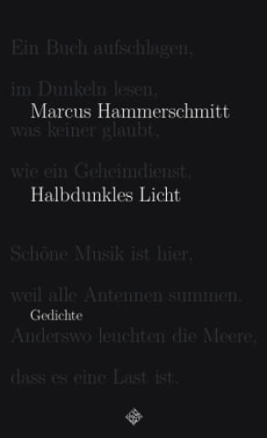 Book Halbdunkles Licht Marcus Hammerschmitt