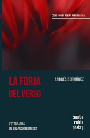 Book La forja del verso Jaime Morales Quant