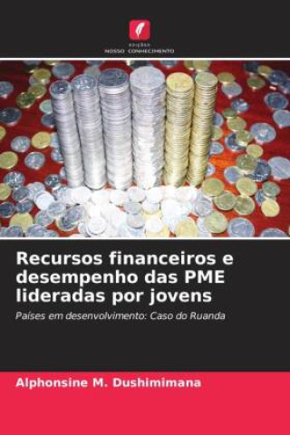 Kniha Recursos financeiros e desempenho das PME lideradas por jovens Alphonsine M. Dushimimana