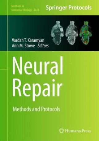 Kniha Neural Repair Vardan T. Karamyan