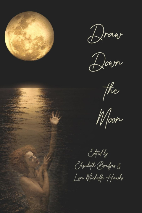 Knjiga Draw Down the Moon Lori Michelle Hawks