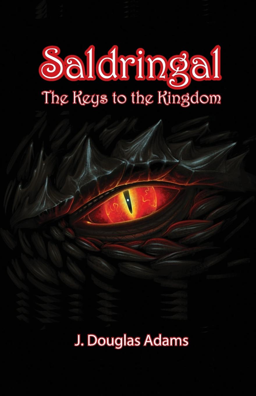 Libro Saldringal 