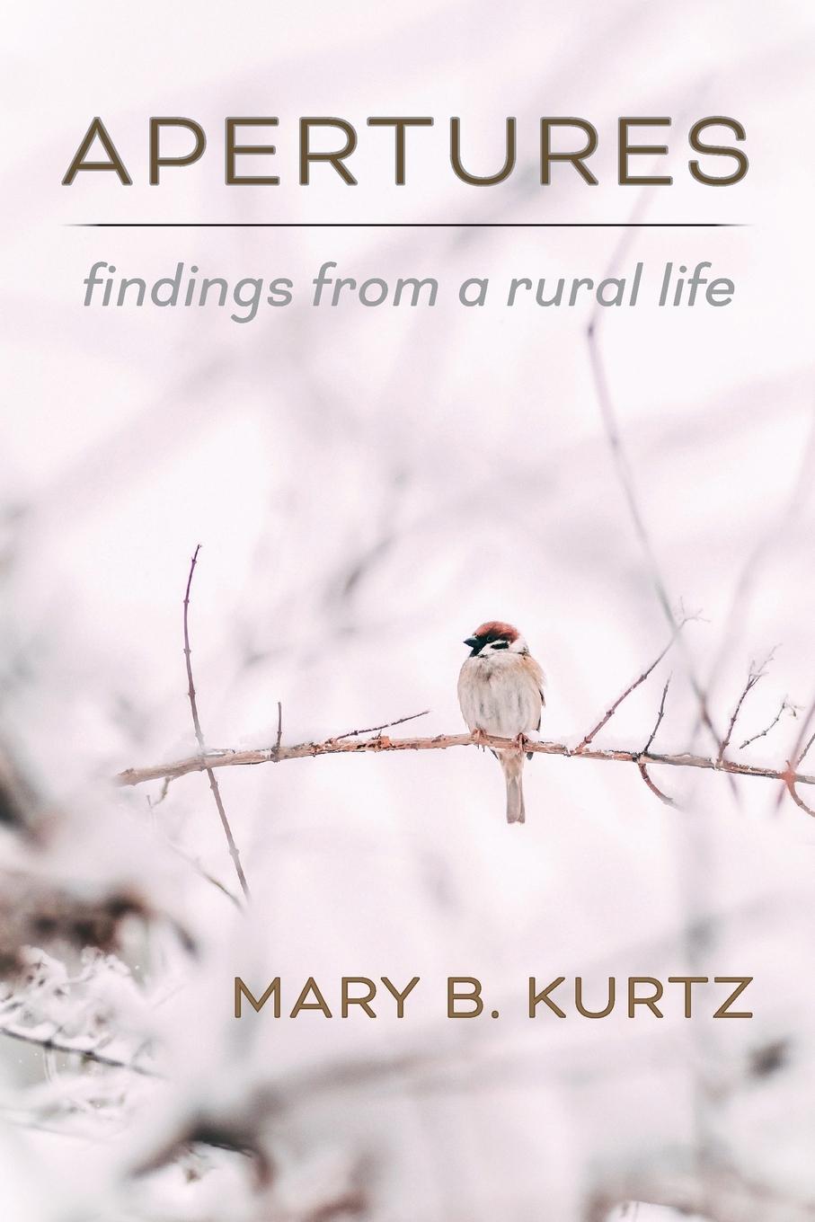 Knjiga Apertures Mary B Kurtz