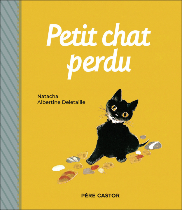 Buch Petit chat perdu Deletaille