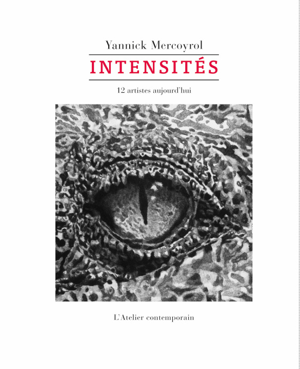 Libro Intensités Yannick Mercoytol