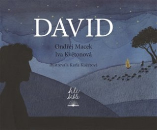 Kniha David Ondřej Macek
