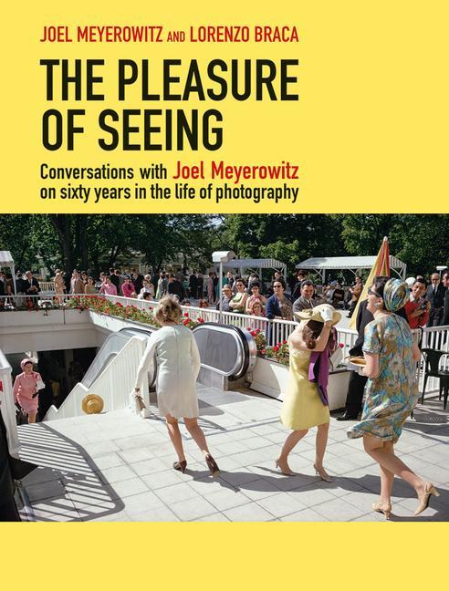 Kniha Pleasure of Seeing 