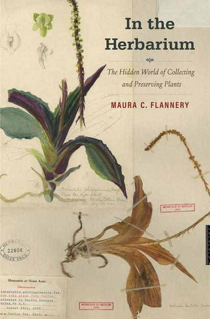 Könyv In the Herbarium Maura C. Flannery