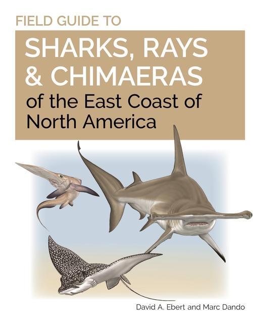Carte Field Guide to Sharks, Rays and Chimaeras of the East Coast of North America Marc Dando