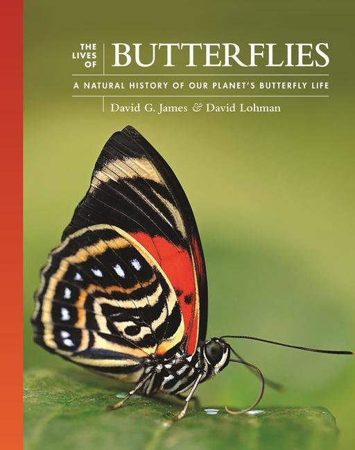 Könyv Lives of Butterflies David G. James