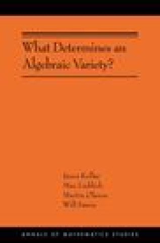 Kniha What Determines an Algebraic Variety? János Kollár