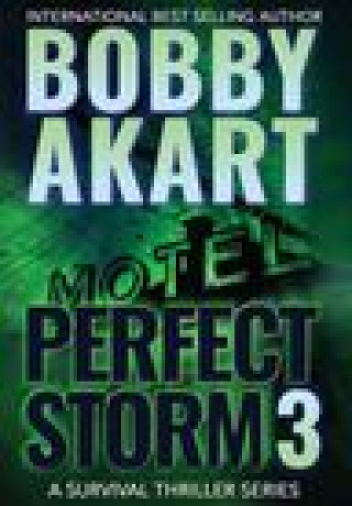 Kniha Perfect Storm 3 Bobby Akart