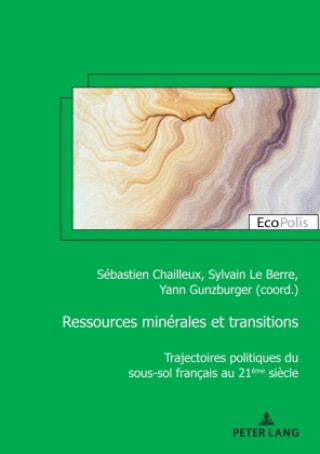 Kniha Ressources minérales et transitions Sébastien Chailleux