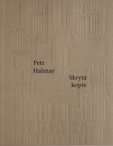 Kniha Skrytá kopie Petr Halmay