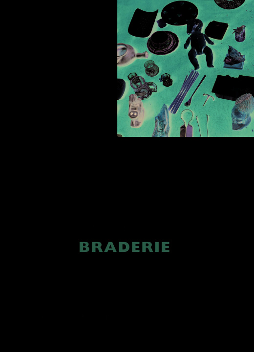 Buch LILLE, BRADERIE CHAMPS-MASSART ANNE