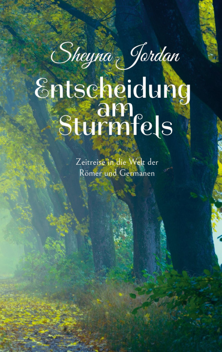 Boek Entscheidung am Sturmfels Sheyna Jordan