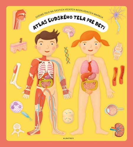Kniha Atlas ľudského tela pre deti Oldřich Růžička