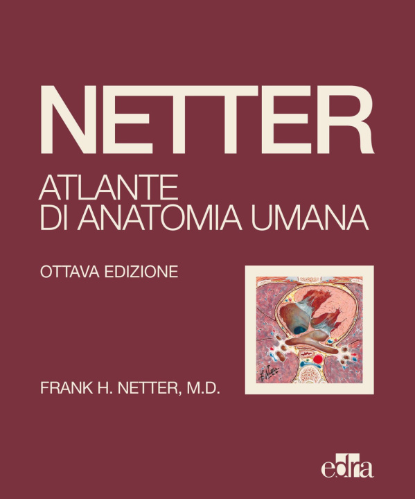 Carte Netter. Atlante di anatomia umana Frank H. Netter