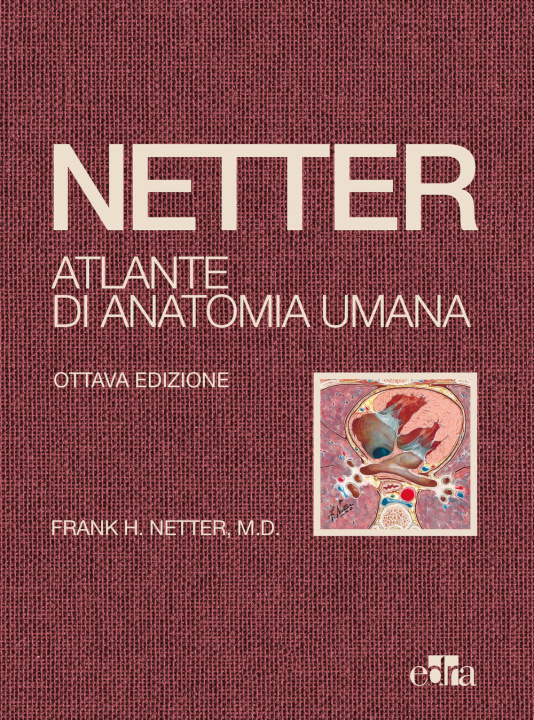 Könyv Netter. Atlante di anatomia umana Frank H. Netter