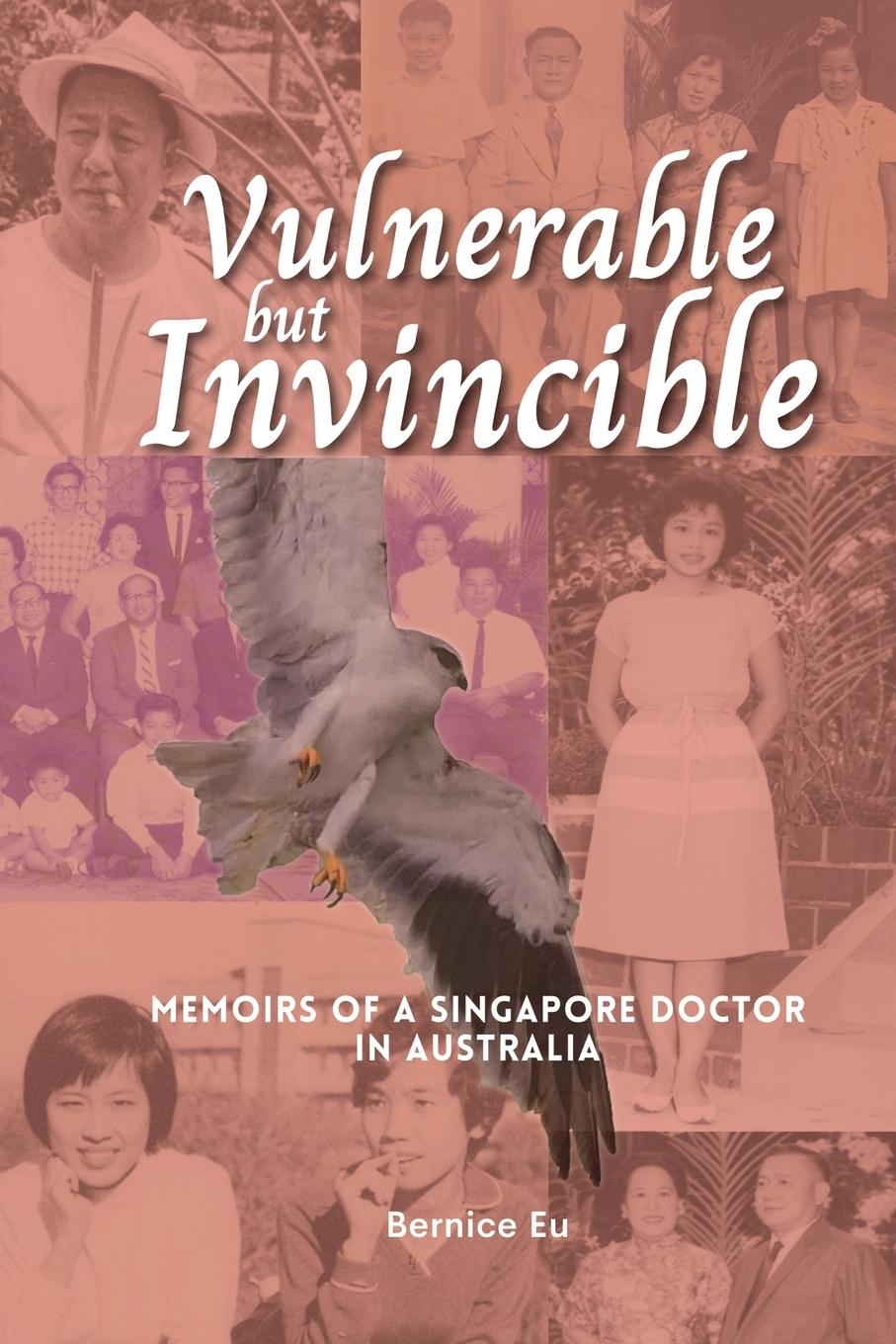 Book Vulnerable but Invincible Bernice Eu