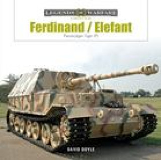 Książka Ferdinand/Elefant: Panzerjäger Tiger (P) 