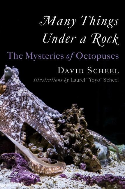 Kniha Many Things Under a Rock - The Mysteries of Octopuses Laurel Yoyo Scheel