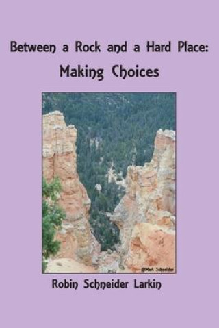 Book Between a Rock and a Hard Place: Making Choices 