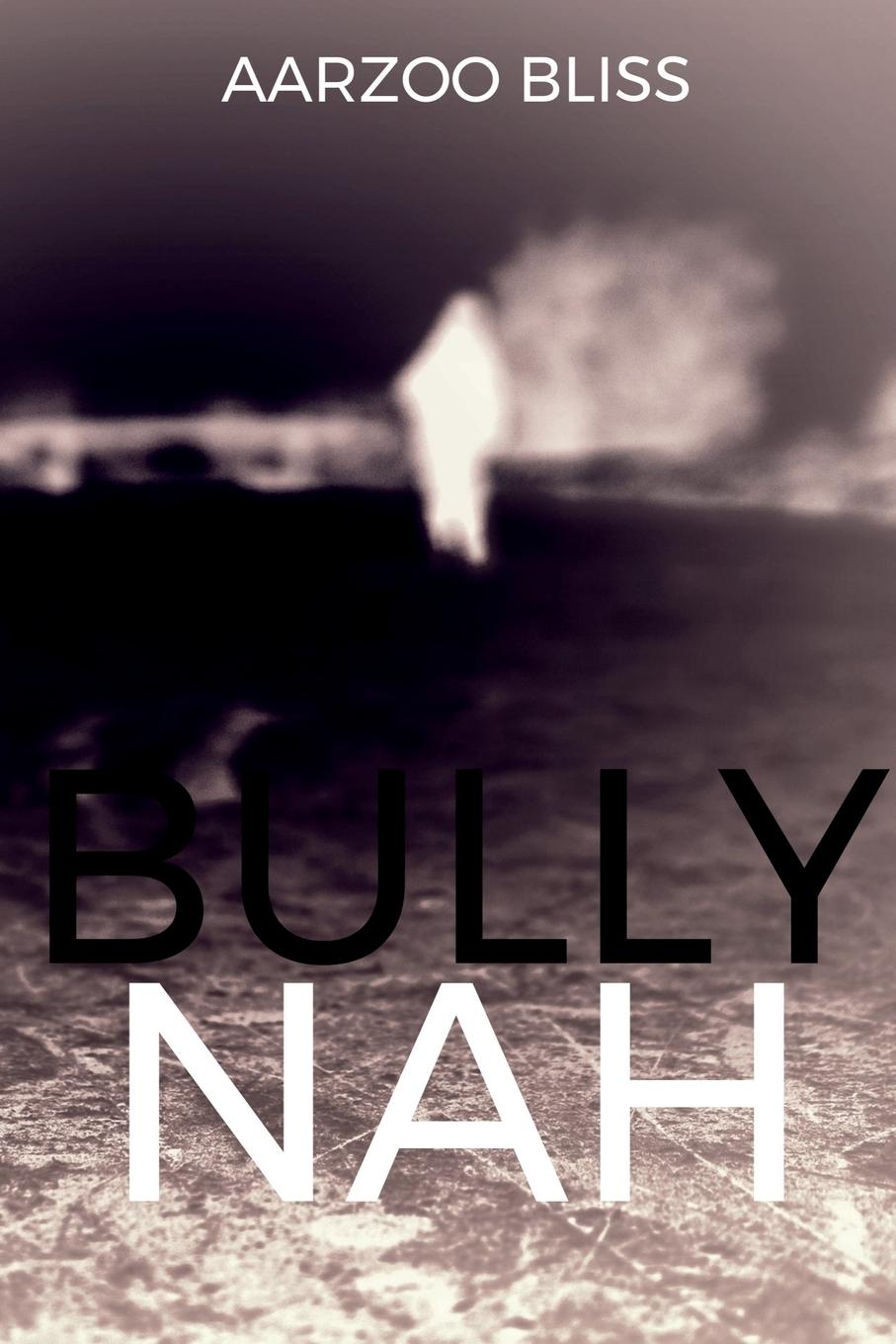 Knjiga Bully Nah Aarzoo Bliss