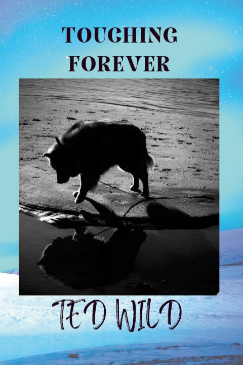 Knjiga Touching Forever Theodore Wild