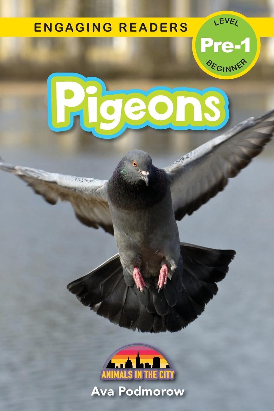 Kniha Pigeons Sarah Harvey