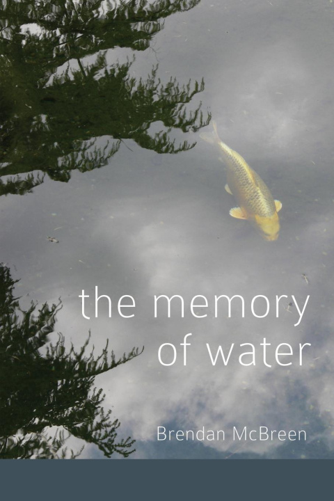 Buch The Memory of Water 